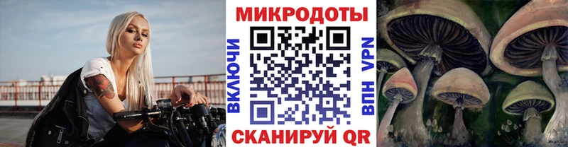 Купить где  Кировград  Галлюциногенные грибы MAGIC MUSHROOMS 